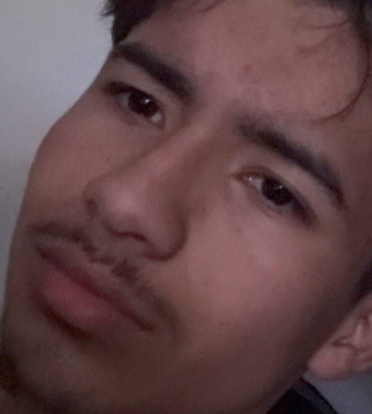 IMG 6850