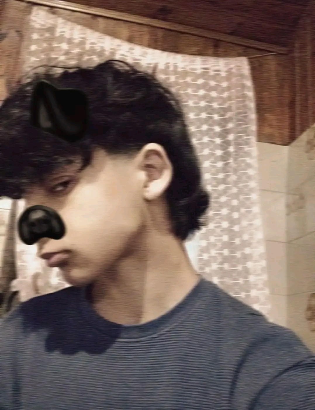 23293