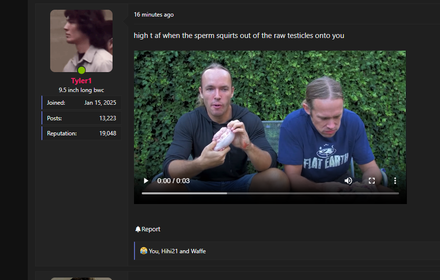 Tyler1 gay asf