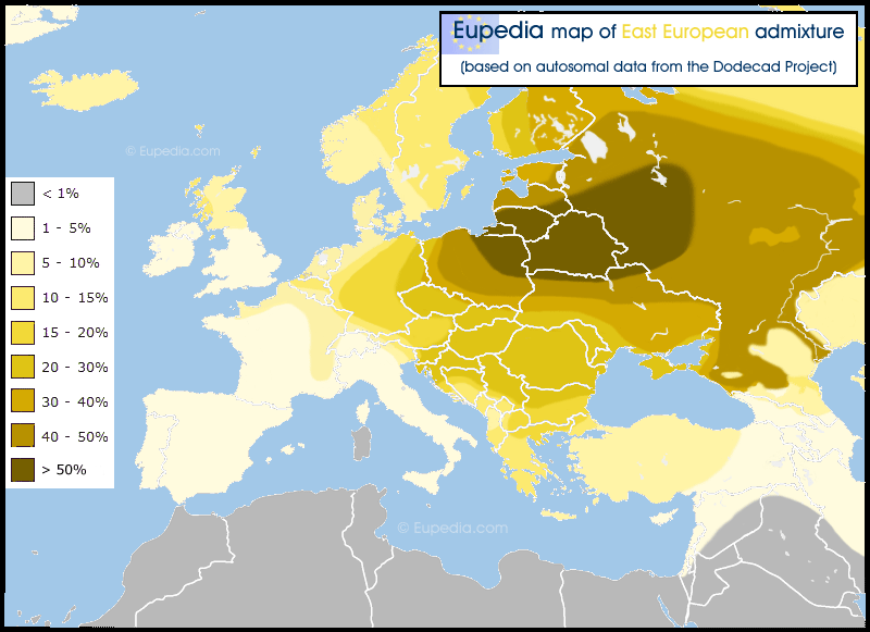 East European admixture