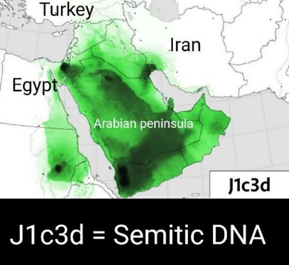 1000095532
