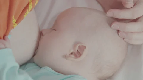 1780226349133