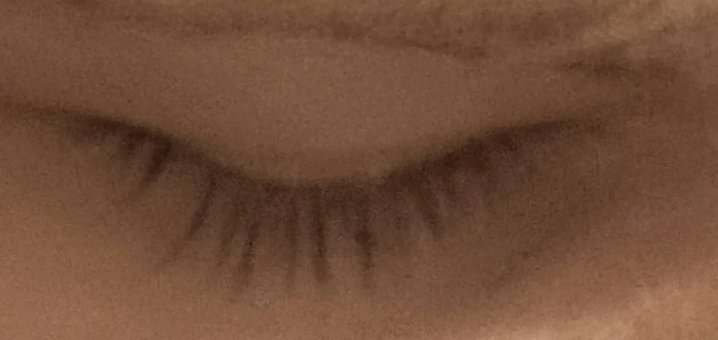 1780236562081