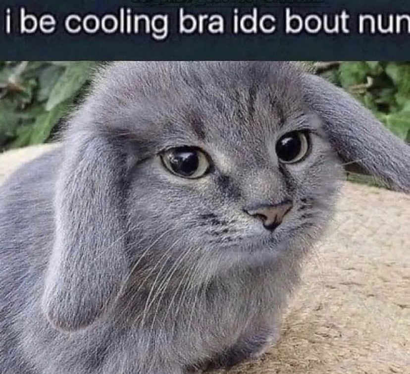 1780249202948