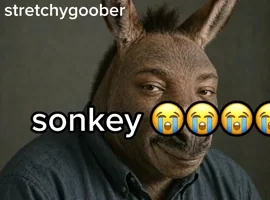 1780260324236