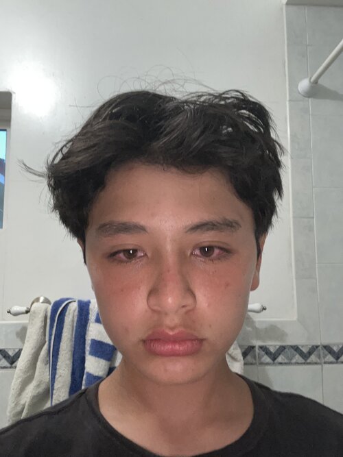 image.jpg