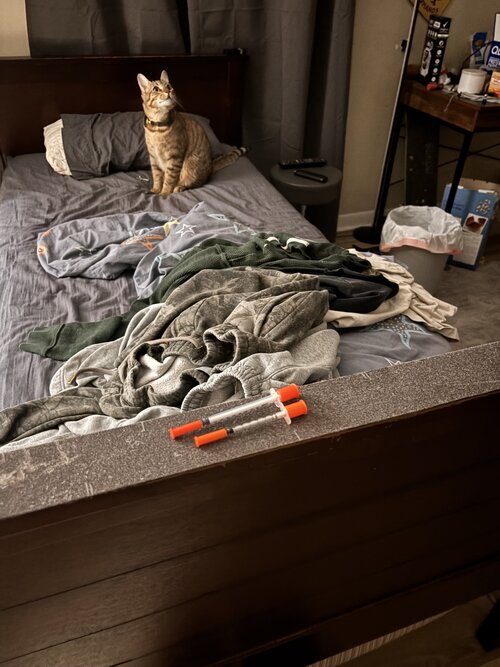 IMG_0003.jpeg