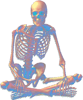 image (1).gif