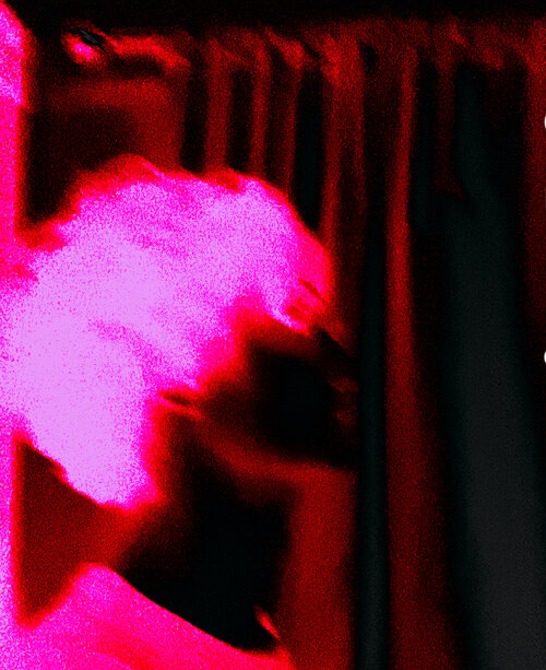 IMG 3597