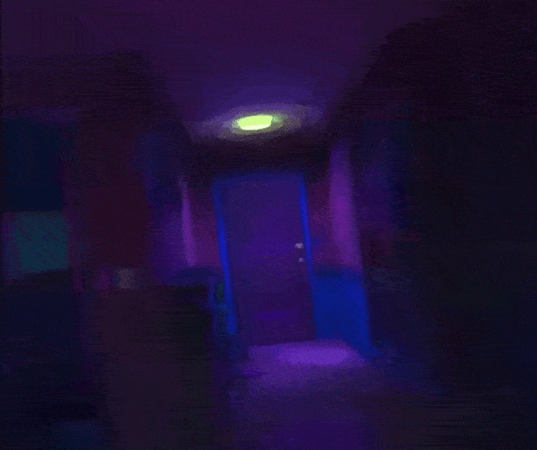 IMG 7838