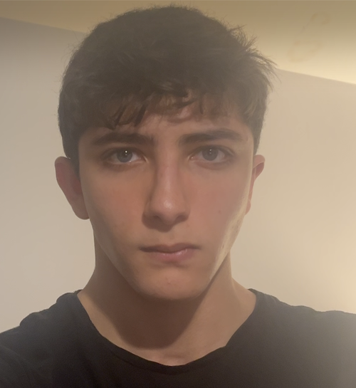 lm1.png