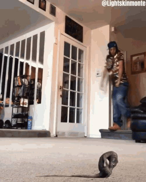 Ohhh shit a rat dance