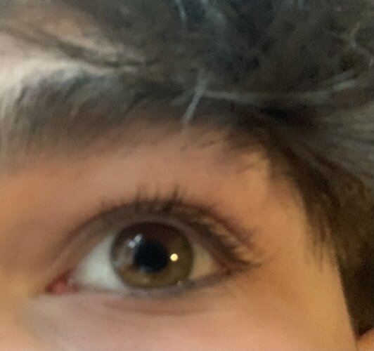 IMG_5659.jpeg