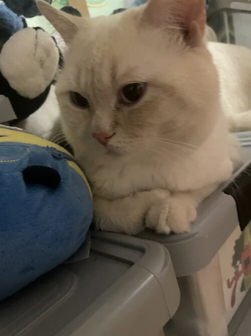 IMG_5396.jpeg