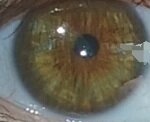 Screenshot_20260506_171137_Gallery.jpg