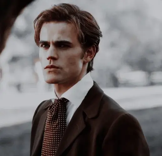 stefan1.webp
