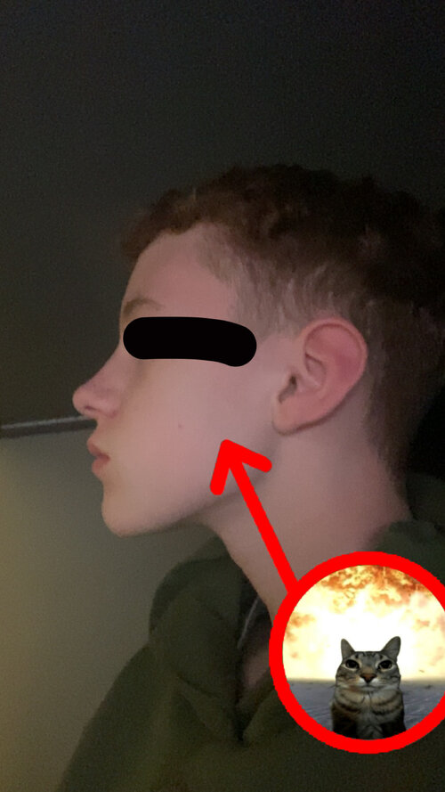 IMG_1997.jpeg