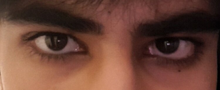 20260425_201305.jpg
