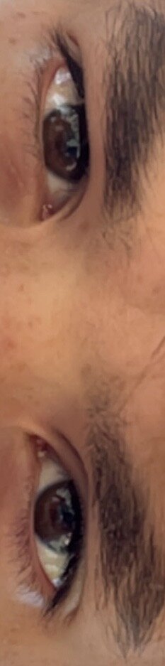 IMG_0401.jpeg