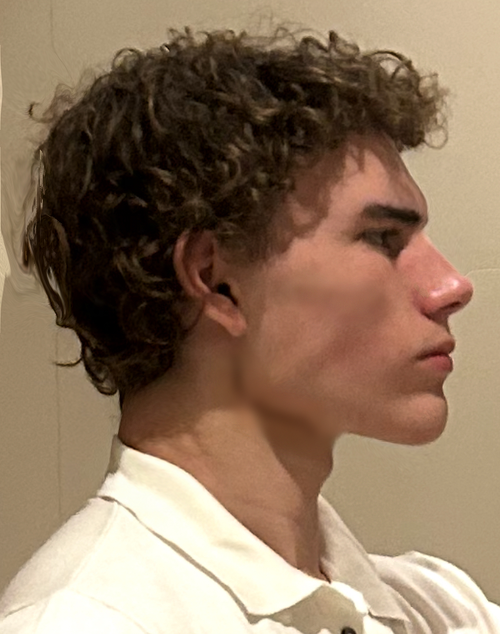 morph2.png