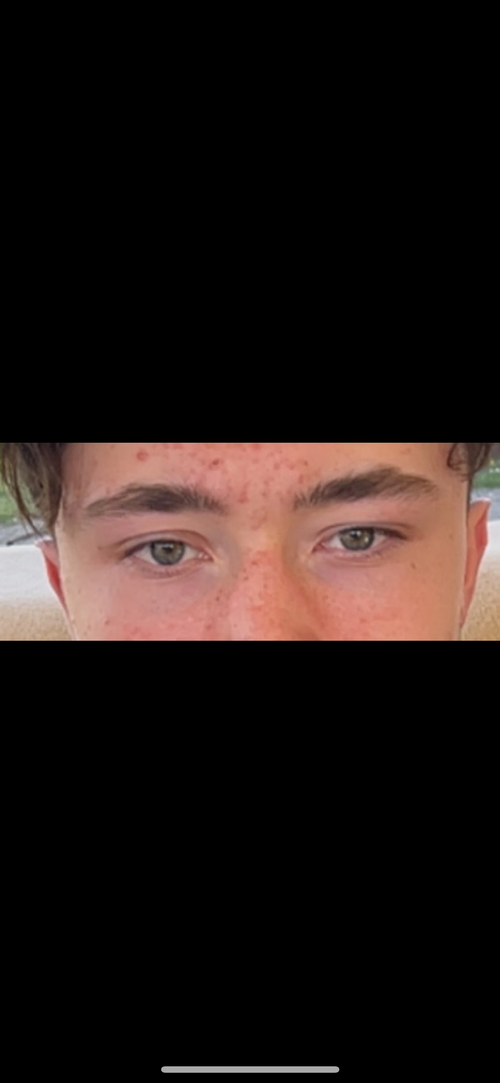 IMG_1324.png