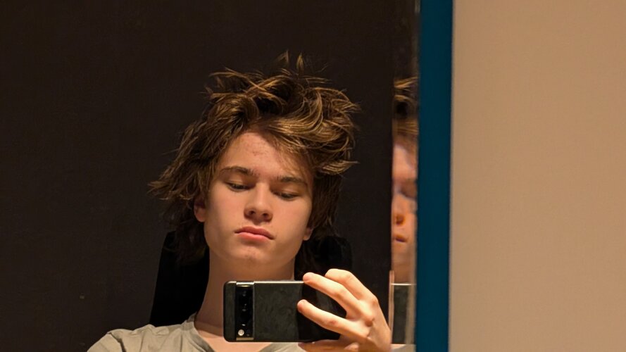Mirrorpic