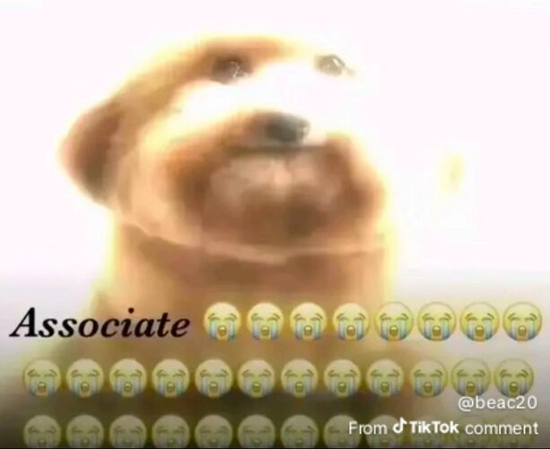 1778008061878.jpg