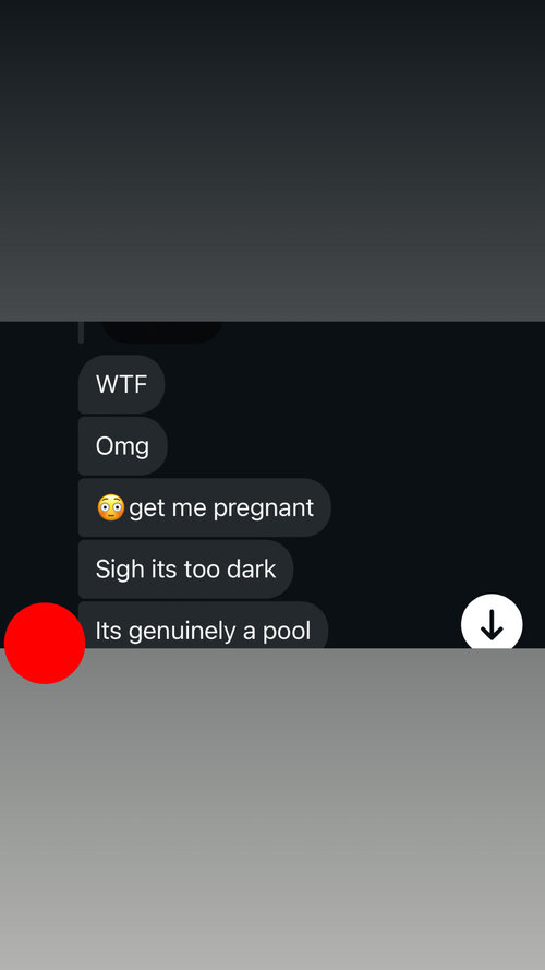 IMG_4237.jpeg