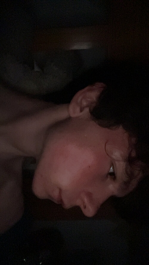 IMG 2445