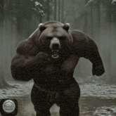 Signedearth bear