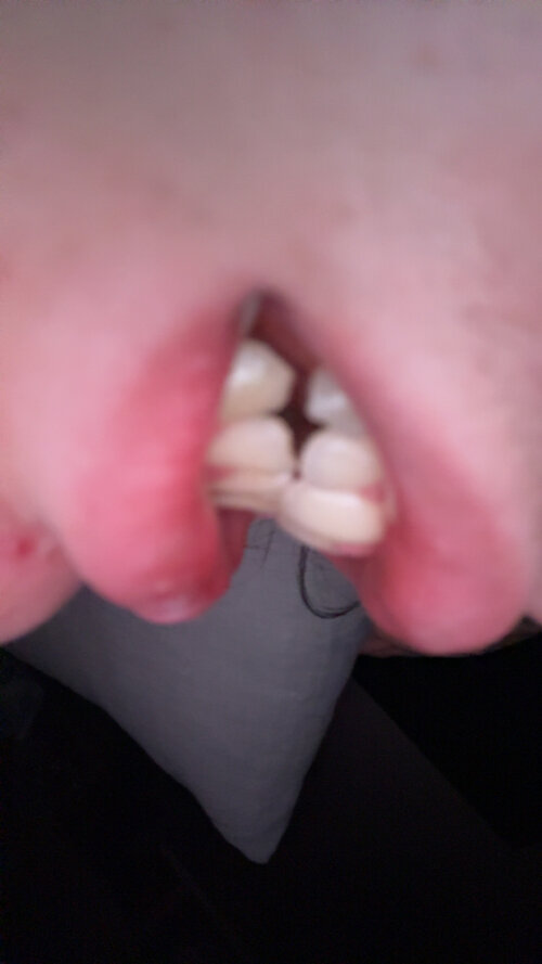IMG_2089.jpeg