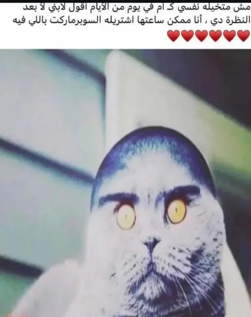 1000082304