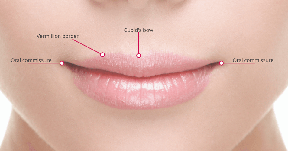 Melior-oral-commissure-fb.png