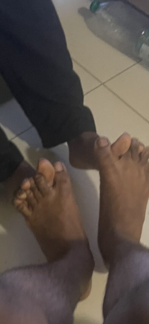 IMG_2425.jpeg