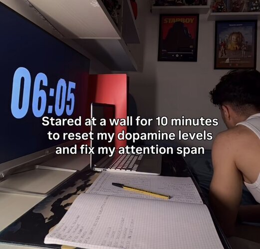 1000037684