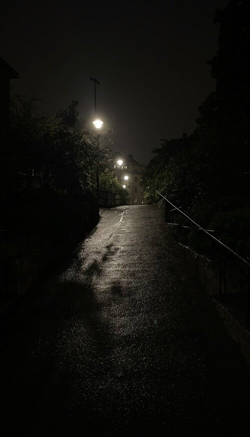 IMG_4955.jpeg