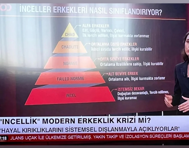 failed-normie-kardeC59Fcanlarla-biz-v0-o637fw4p1o0h1.png