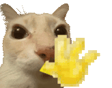 6177946 1776976443372