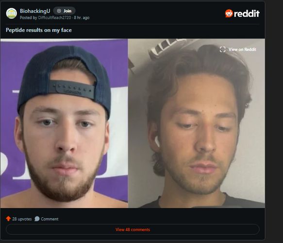 1778804317333.png