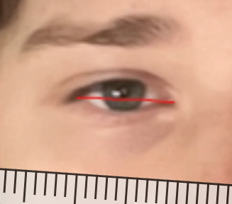 cant.png