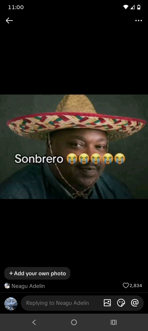 Screenshot_20260509-230032_TikTok.png