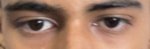 IMG_2039.jpeg