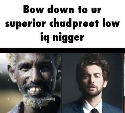 1000028210.jpg