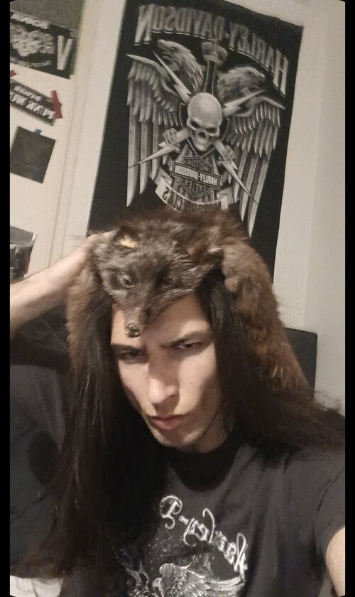 Screenshot_20260428_232905_TikTok.jpg