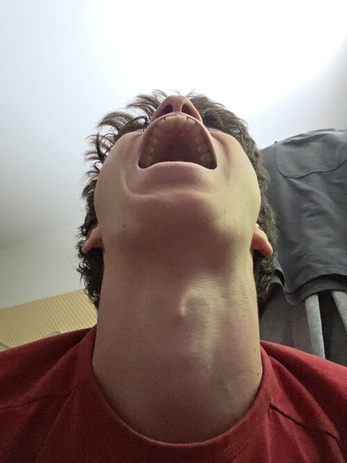 20260508_154947.jpg