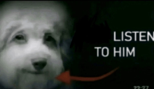 Listen him