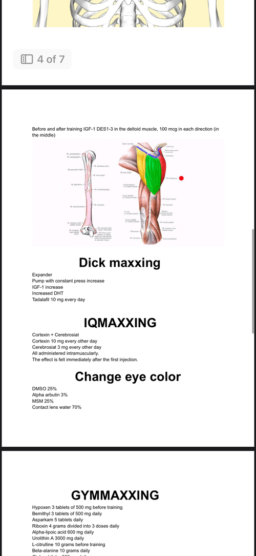 IMG_6095.png