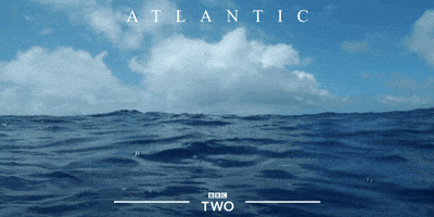 IMG_0167.gif