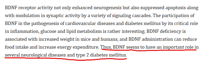 BDNF.png