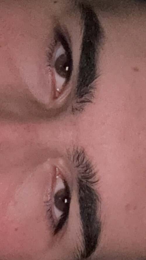 IMG_5376.jpeg
